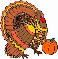 Happy Thanksgiving Turkey N5