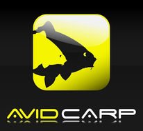 Carp For Sale drawing