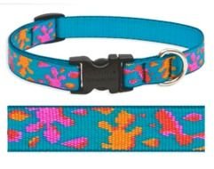 Dog Collar Name Tags