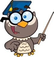 smart owl as a graphic illustration