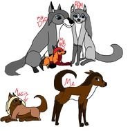 Animal Jam Wolf drawing