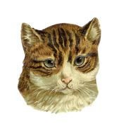 Victorian Cat Clip Art drawing