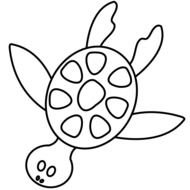 Black And White Turtle drawing