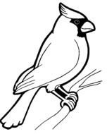 Free Bird Coloring Pages