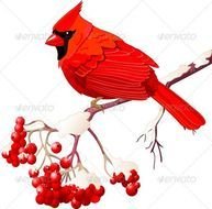 Red Cardinal Bird Clip Art N12