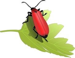 Cardinal Bird bug drawing