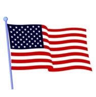 United States Flag Animated N2