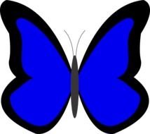 bright blue butterfly as a picture for clipart