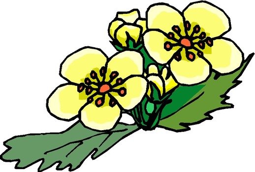 Yellow Flower Clip Art N44