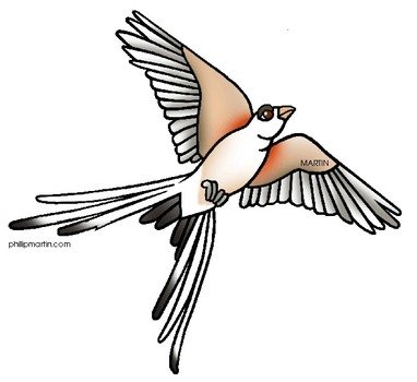 Oklahoma State Clip Art N4