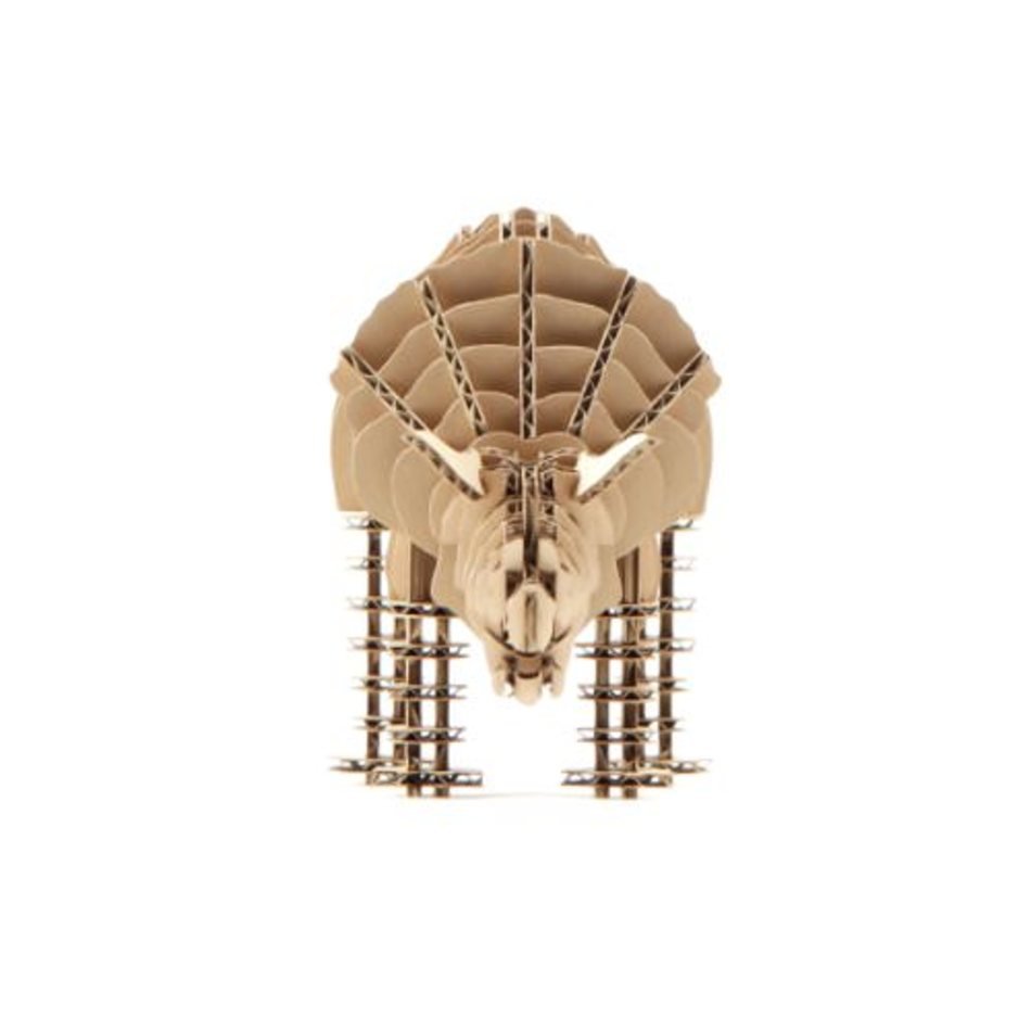 Laser Cut Cardboard