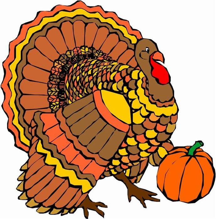Happy Thanksgiving Turkey N5