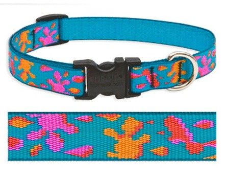 Dog Collar Name Tags
