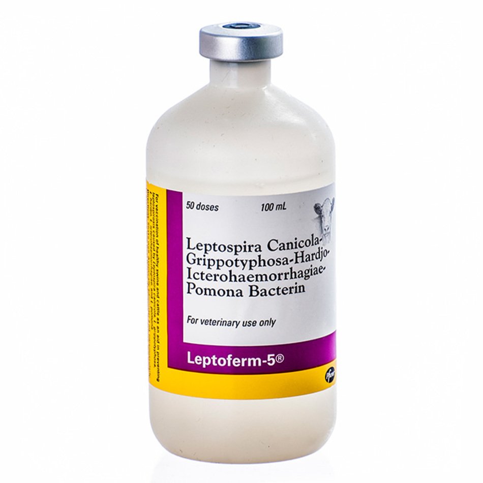 Leptoferm 5 100ml