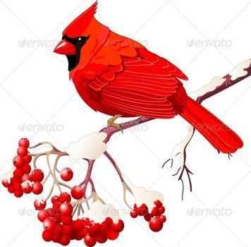 Red Cardinal Bird Clip Art N12