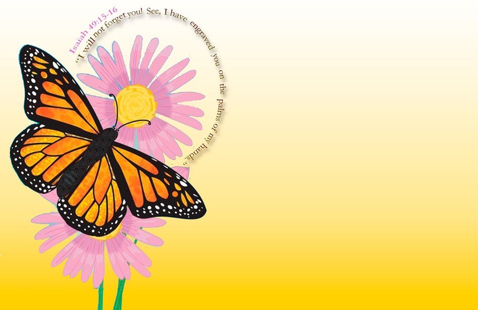 flower and insect drawing