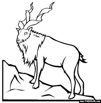 Endangered Animal Coloring Pages