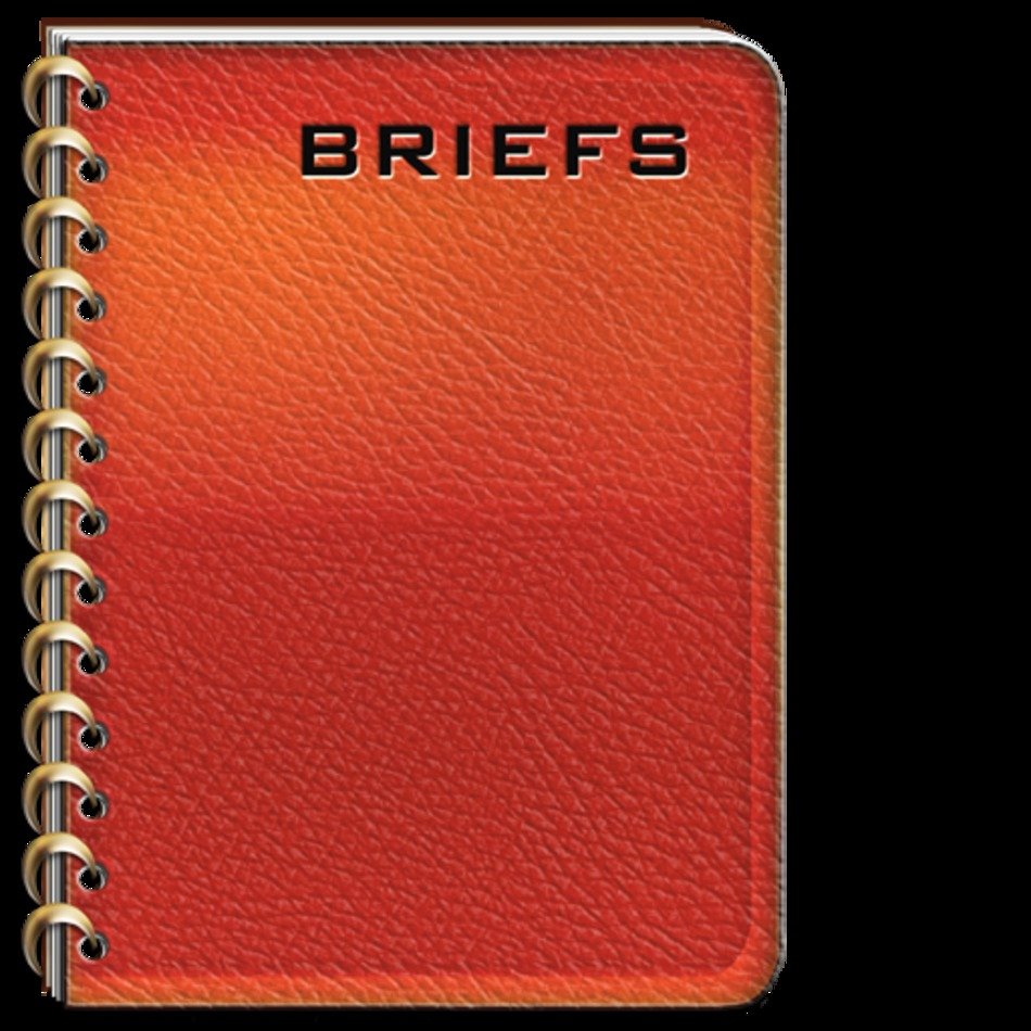 Pigskin Journal For Legal Briefs rdquo