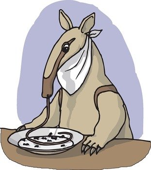 Food Plate Table From Anteater Eating Animal Eat N2
