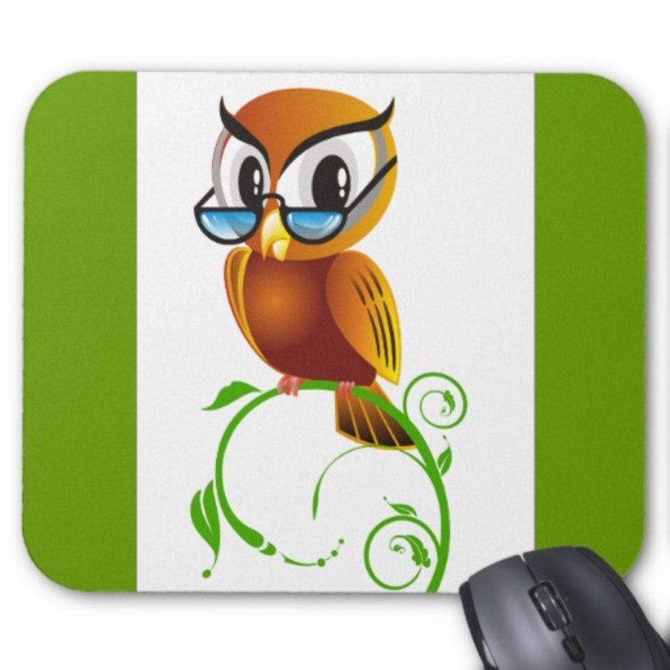 Cartoon Owl Teacher N5