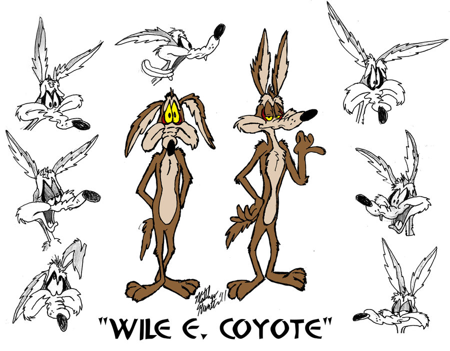 Drawing Of Wile E Coyote Free Image Download   1297975 