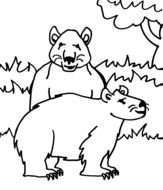 bears Coloring Pages drawing