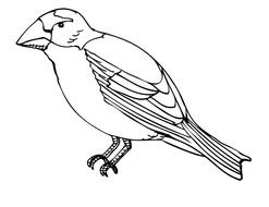 Finch Silhouette Clip Art