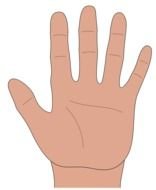 one Hand drawing
