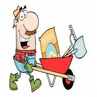 Happy Man Cartoon N4