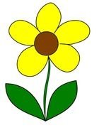 yellow flower as a graphic illustration