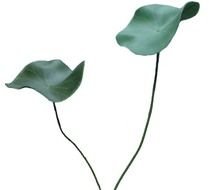 Leaf And Vine Tattoos