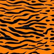 Tiger Stripes drawing