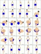 Gymnastics Stretching Exercises