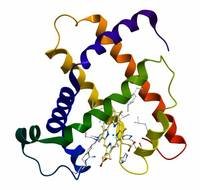 Protein Clip Art N14