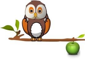 Beautiful,colorful and cute owl on the tree with the apple clipart