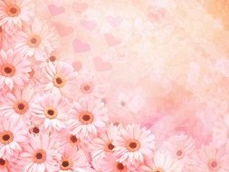 Pink Color flowers drawing