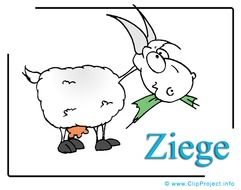 Bildtitel Ziege Clipart Bild Bauernhof Cliparts Free