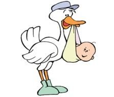 Baby Stork Clip Art N8
