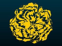 orange color flower at black background, drawing