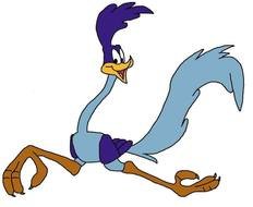 Road Runner Cartoon N9