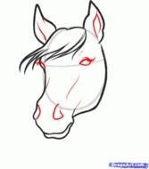 Draw horse head free image