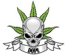 dope, skull in front of canabias leaf, banner