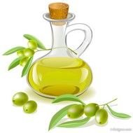 Cartoon Olive Oil Bottle N2