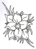 open Lotus Flower, Tattoo Outline