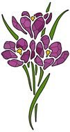 Ä°llustration of Violet Flowers