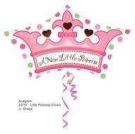 crown for a new little princess