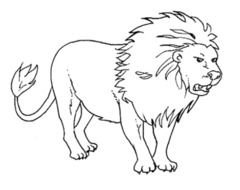 Clipart of Wild Animal