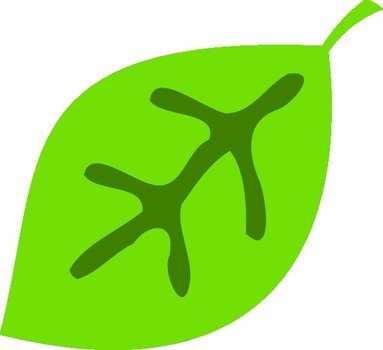 Cute Leaf Clip Art N3