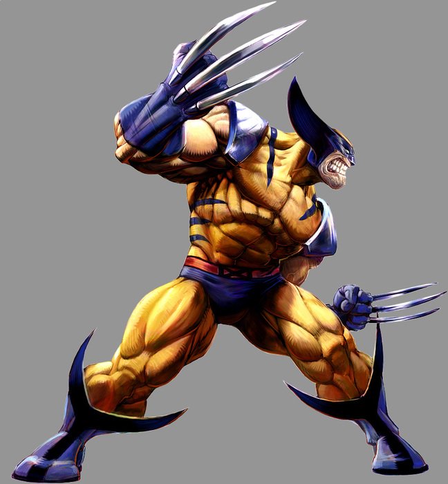 Marvel Wolverine drawing