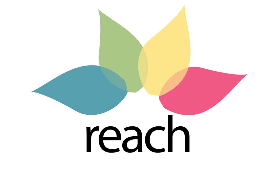 Ä°llustration of Reach Logo